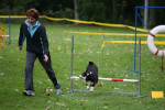 agility, Chicca